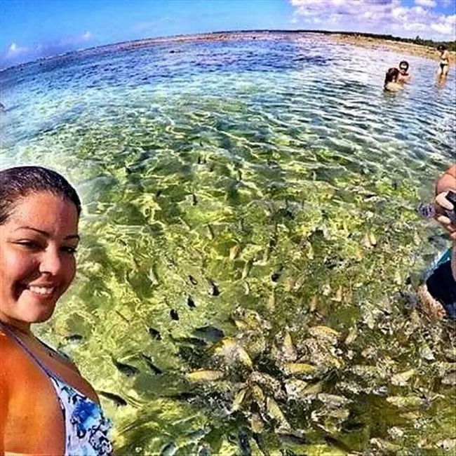 Foto 7 de Terreno / Lote à venda, 1000m2 em Cairu - BA