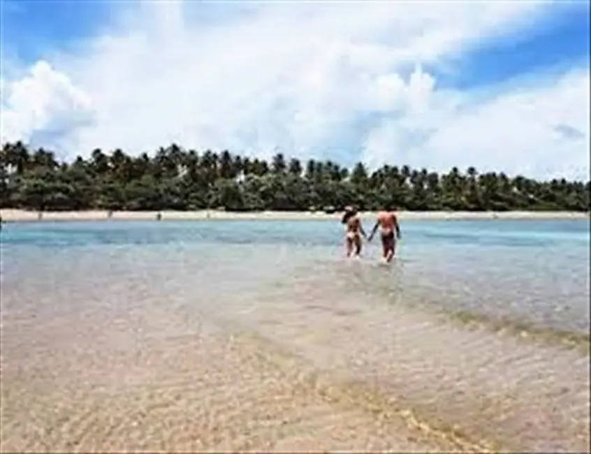 Foto 3 de Terreno / Lote à venda, 4000m2 em Cairu - BA