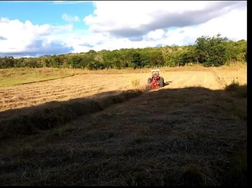 Foto 4 de Fazenda / Haras com 3 quartos à venda, 200m2 em Morro Do Chapeu - BA