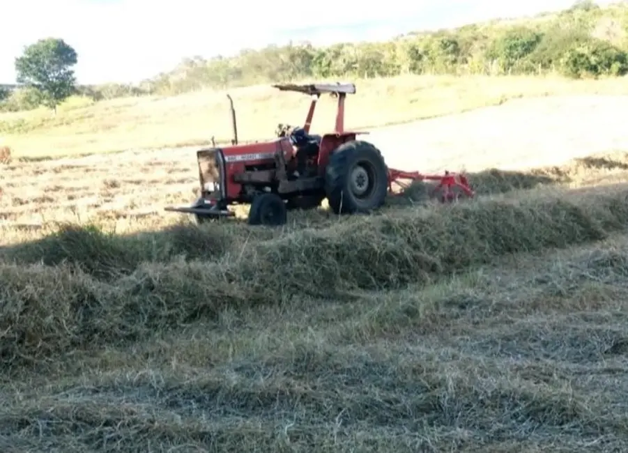 Foto 5 de Fazenda / Haras com 3 quartos à venda, 200m2 em Morro Do Chapeu - BA