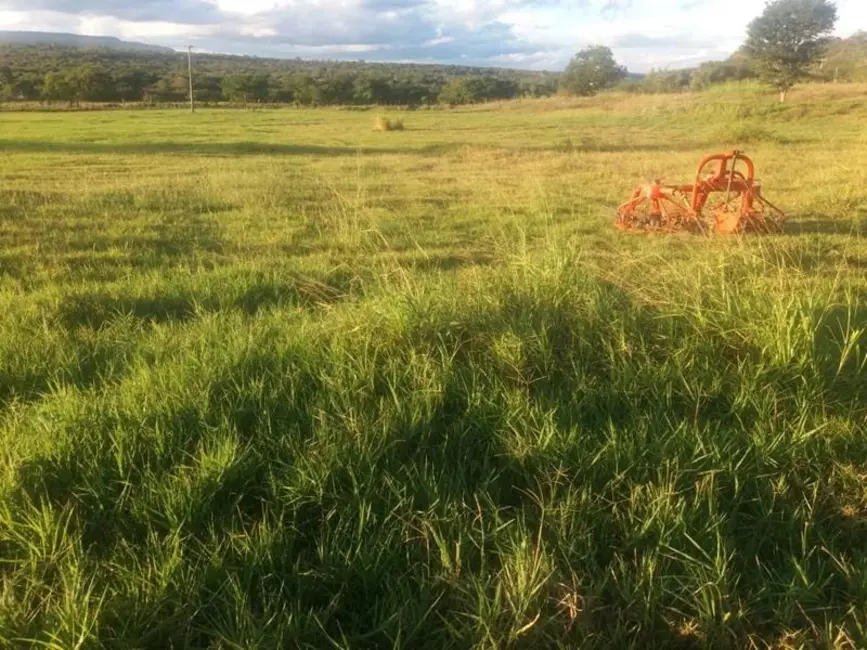Foto 6 de Fazenda / Haras com 3 quartos à venda, 200m2 em Morro Do Chapeu - BA