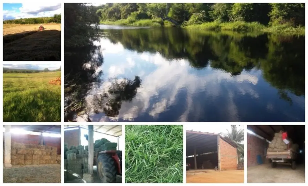 Foto 1 de Fazenda / Haras com 3 quartos à venda, 200m2 em Morro Do Chapeu - BA