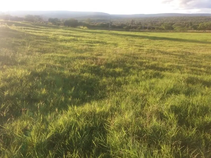 Foto 8 de Fazenda / Haras com 3 quartos à venda, 200m2 em Morro Do Chapeu - BA