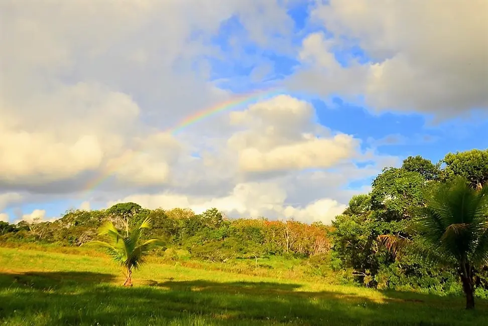 Fazenda / Haras com 2 quartos à venda, 250m2 em Valenca - BA - imagem 2 Foto 2 de Fazenda / Haras com 2 quartos à venda, 250m2 em Valenca - BA