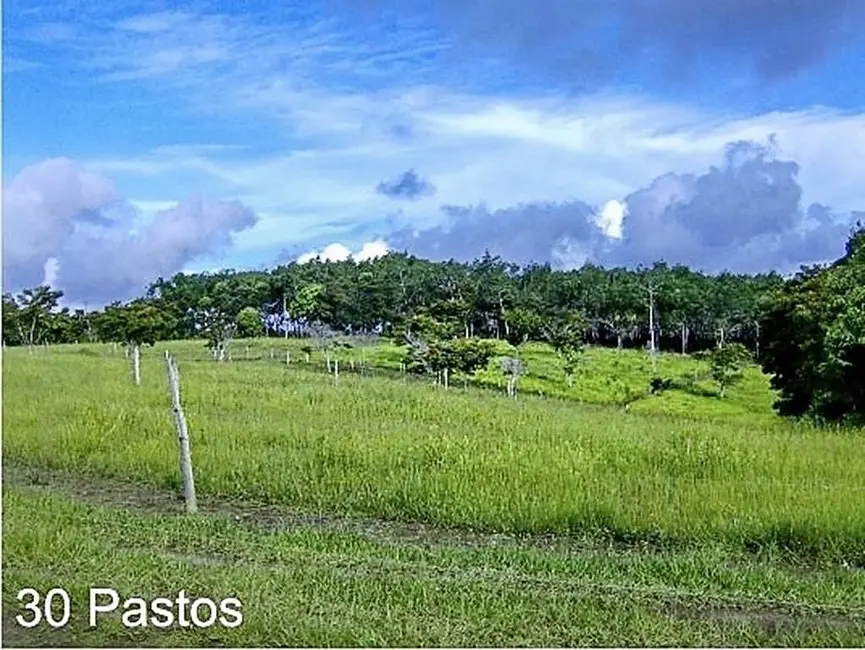 Fazenda / Haras com 2 quartos à venda, 250m2 em Valenca - BA - imagem 3 Foto 3 de Fazenda / Haras com 2 quartos à venda, 250m2 em Valenca - BA