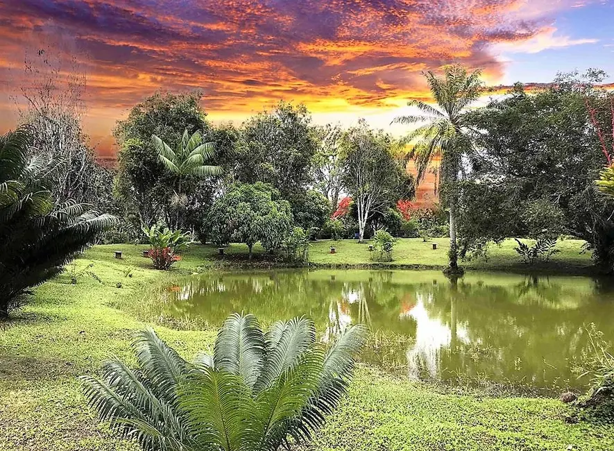 Fazenda / Haras com 2 quartos à venda, 250m2 em Valenca - BA - imagem 1 Foto 1 de Fazenda / Haras com 2 quartos à venda, 250m2 em Valenca - BA