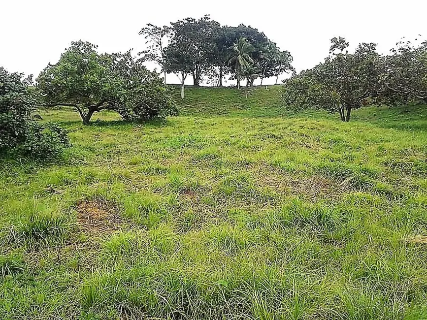 Foto 6 de Fazenda / Haras à venda, 476500m2 em Distrito Industrial, Candeias - BA