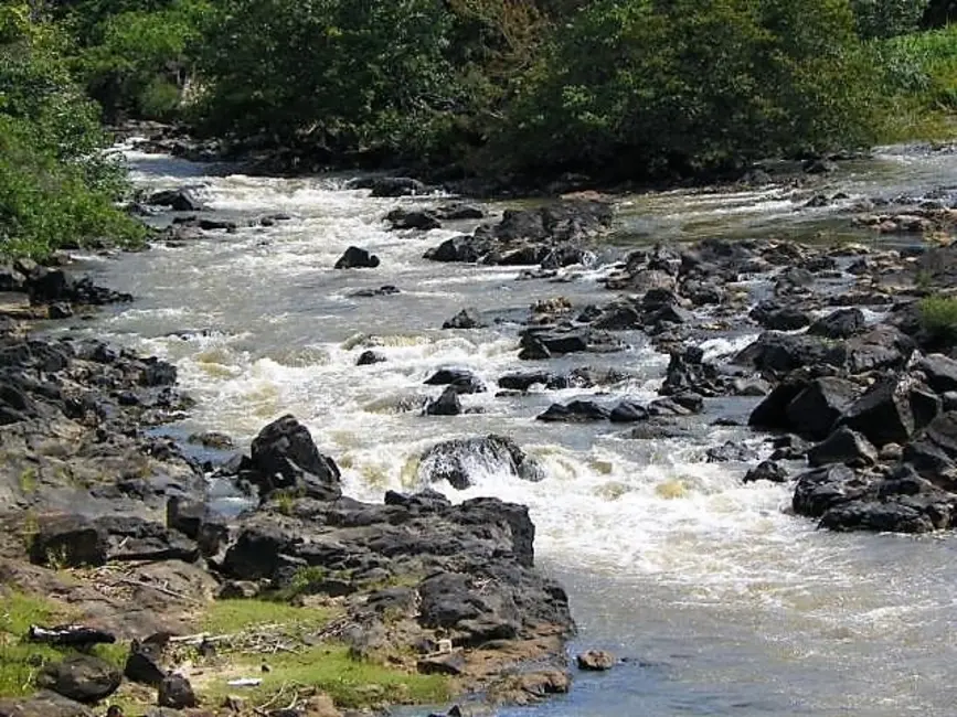Foto 3 de Sítio / Rancho com 4 quartos à venda, 350m2 em Mata De Sao Joao - BA