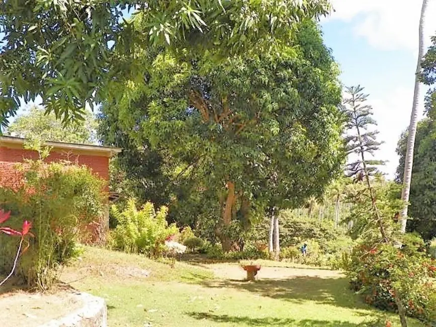 Foto 6 de Sítio / Rancho com 4 quartos à venda, 350m2 em Mata De Sao Joao - BA