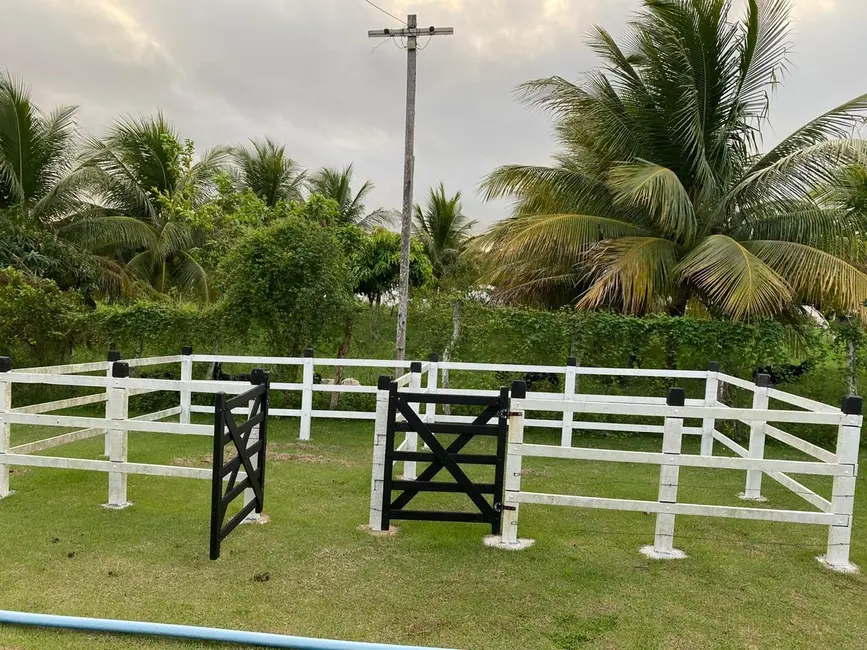Foto 7 de Sítio / Rancho com 4 quartos à venda, 380m2 em Santo Estevao - BA