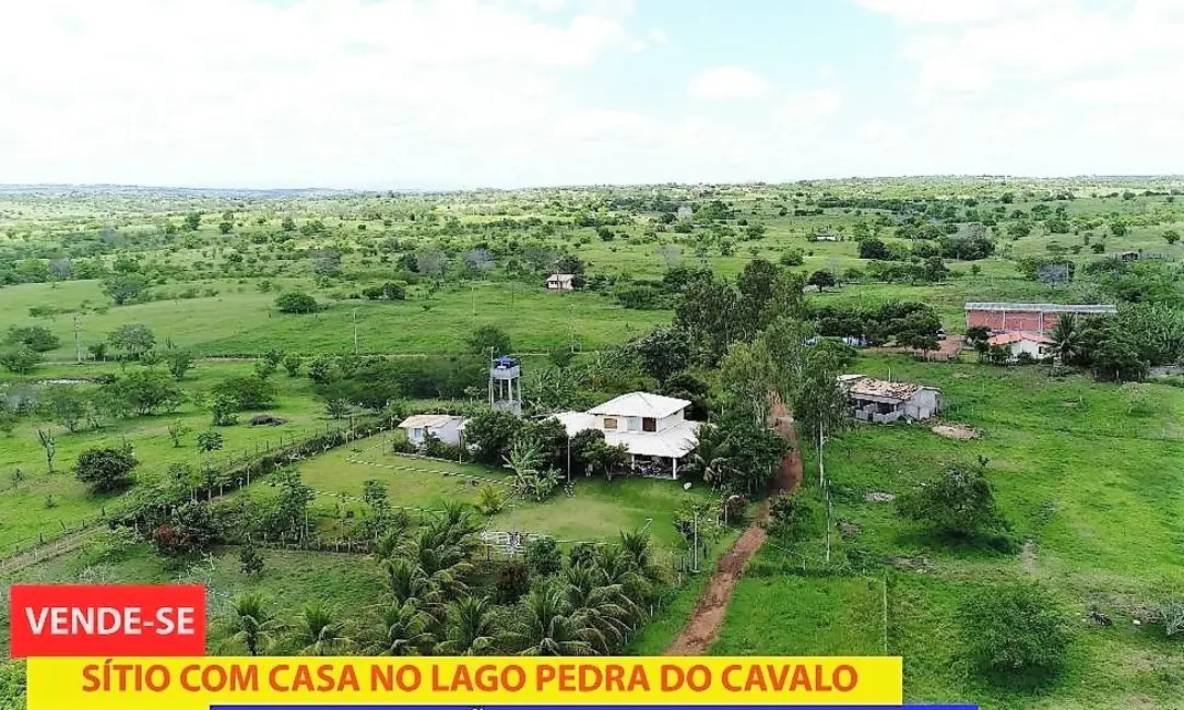 Foto 2 de Sítio / Rancho com 4 quartos à venda, 380m2 em Santo Estevao - BA