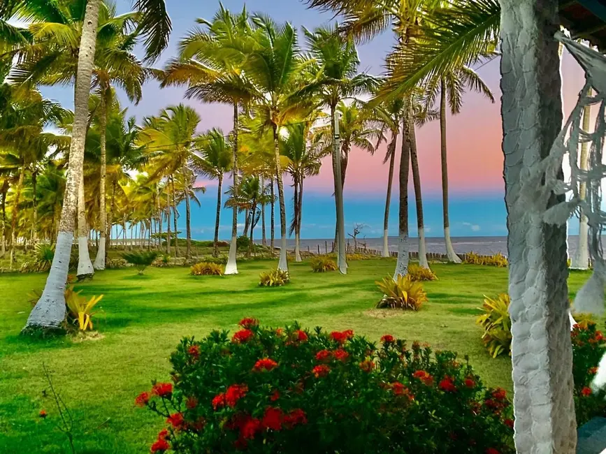 Foto 3 de Sítio / Rancho com 4 quartos à venda, 300m2 em Igrapiuna - BA