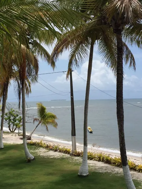 Foto 6 de Sítio / Rancho com 4 quartos à venda, 300m2 em Igrapiuna - BA