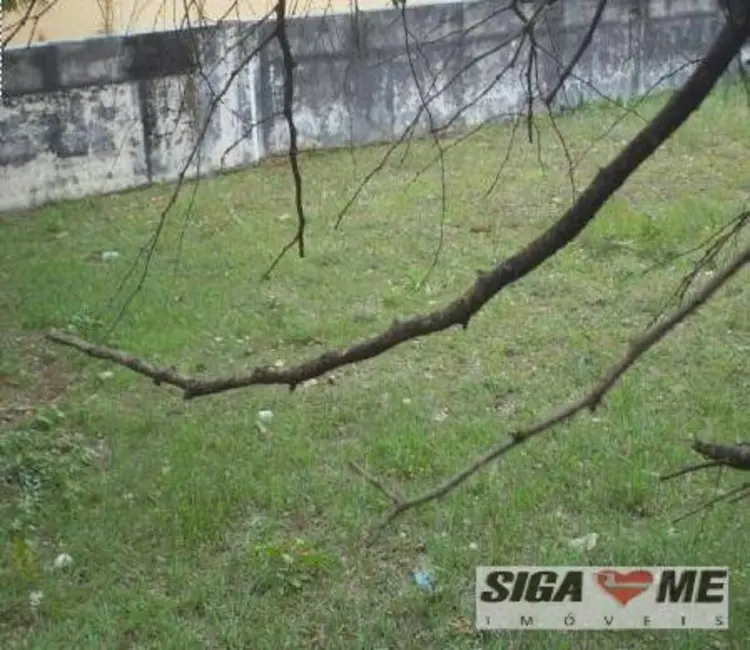 Terreno / Lote à venda, 325m2 em Parque Colonial, São Paulo - SP - imagem 5 Foto 5 de Terreno / Lote à venda, 325m2 em Parque Colonial, São Paulo - SP
