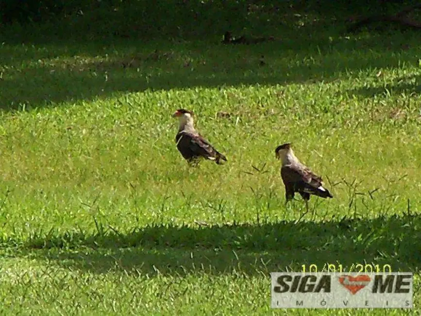 Foto 6 de Chácara com 6 quartos à venda, 40000m2 em Parelheiros, São Paulo - SP