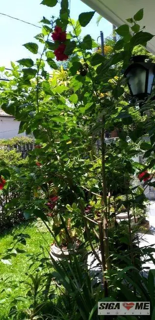 Foto 5 de Casa com 2 quartos à venda, 225m2 em Campo Belo, São Paulo - SP