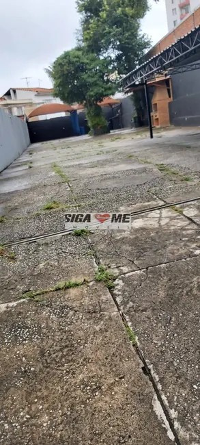 Foto 2 de Terreno / Lote para alugar, 6502m2 em Vila Mascote, São Paulo - SP
