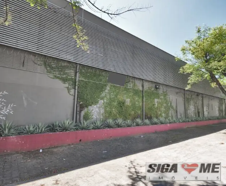 Sala Comercial para alugar, 1361m2 em Jaguaré, São Paulo - SP - imagem 6 Foto 6 de Sala Comercial para alugar, 1361m2 em Jaguaré, São Paulo - SP