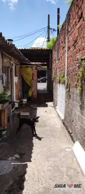 Foto 3 de Terreno / Lote à venda em Vila São José (Cidade Dutra), São Paulo - SP
