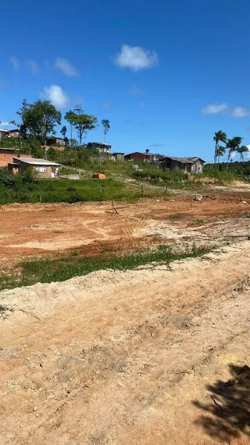 Terreno / Lote à venda, 300m2 em Barra Velha - SC - imagem 5 Foto 5 de Terreno / Lote à venda, 300m2 em Barra Velha - SC