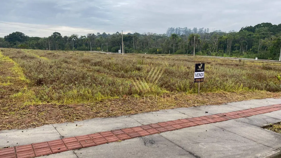 Terreno / Lote à venda, 300m2 em Balneario Picarras - SC - imagem 6 Foto 6 de Terreno / Lote à venda, 300m2 em Balneario Picarras - SC