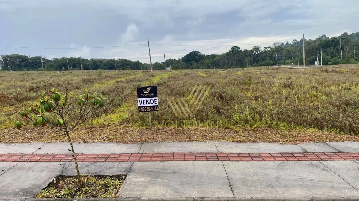 Terreno / Lote à venda, 300m2 em Balneario Picarras - SC - imagem 5 Foto 5 de Terreno / Lote à venda, 300m2 em Balneario Picarras - SC