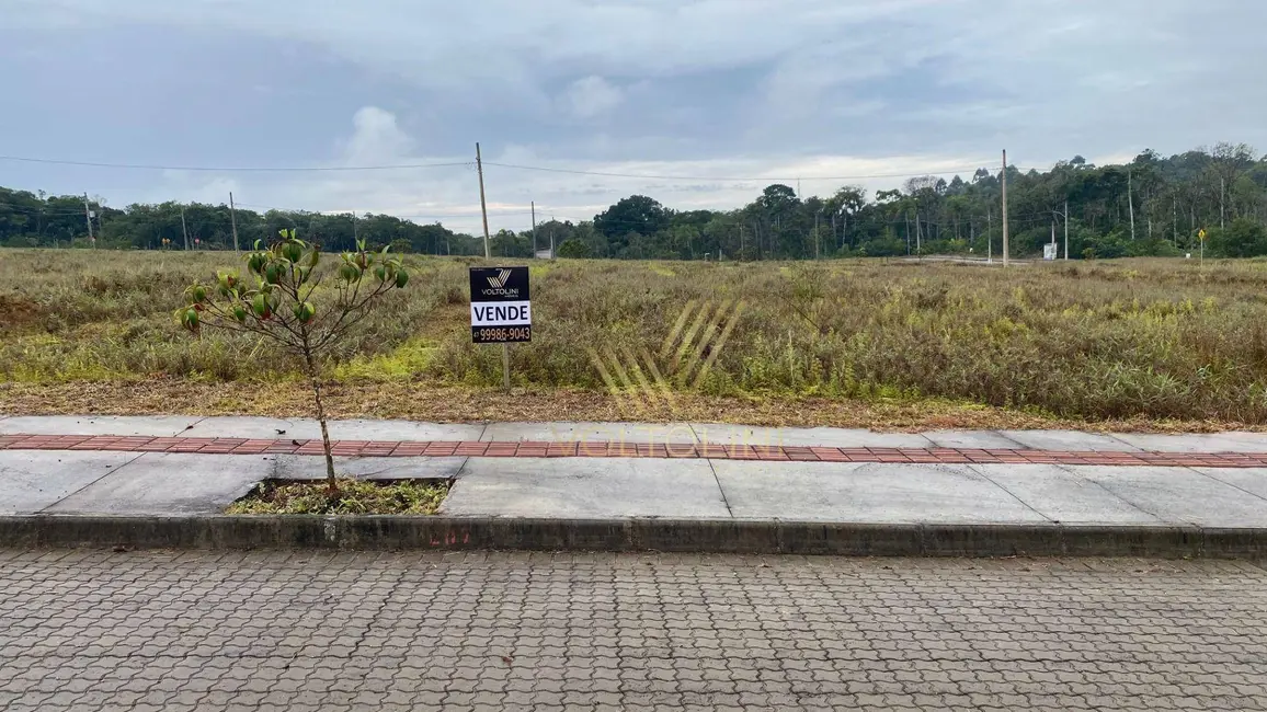 Terreno / Lote à venda, 300m2 em Balneario Picarras - SC - imagem 1 Foto 1 de Terreno / Lote à venda, 300m2 em Balneario Picarras - SC