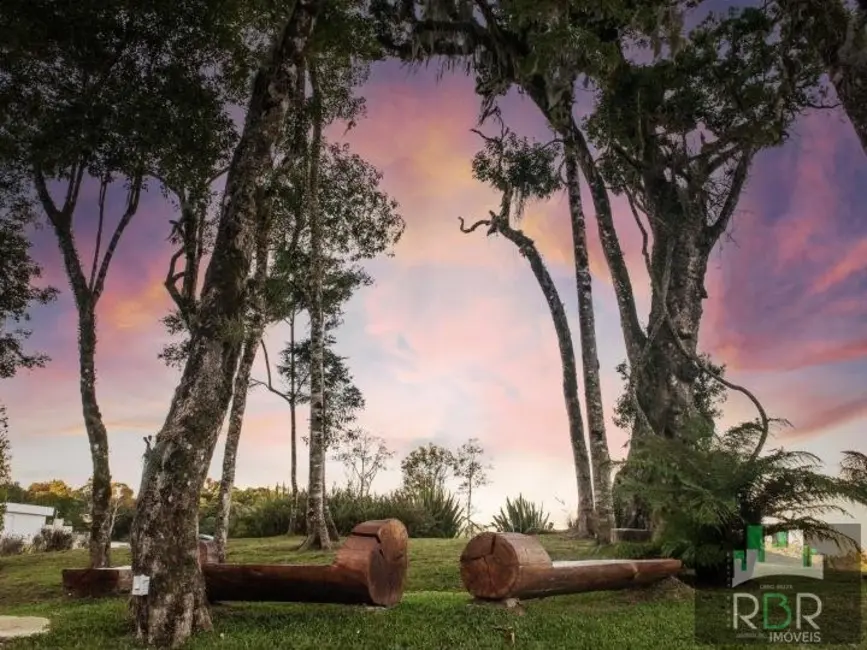 Casa com 4 quartos à venda, 213m2 em Caxias Do Sul - RS - imagem 4 Foto 4 de Casa com 4 quartos à venda, 213m2 em Caxias Do Sul - RS