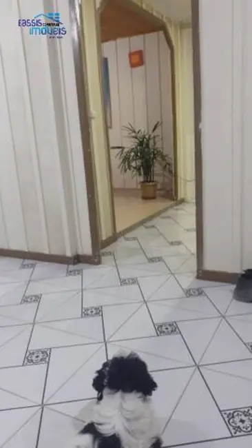 Casa com 3 quartos à venda, 50m2 em Guarituba, Piraquara - PR - imagem 5 Foto 5 de Casa com 3 quartos à venda, 50m2 em Guarituba, Piraquara - PR