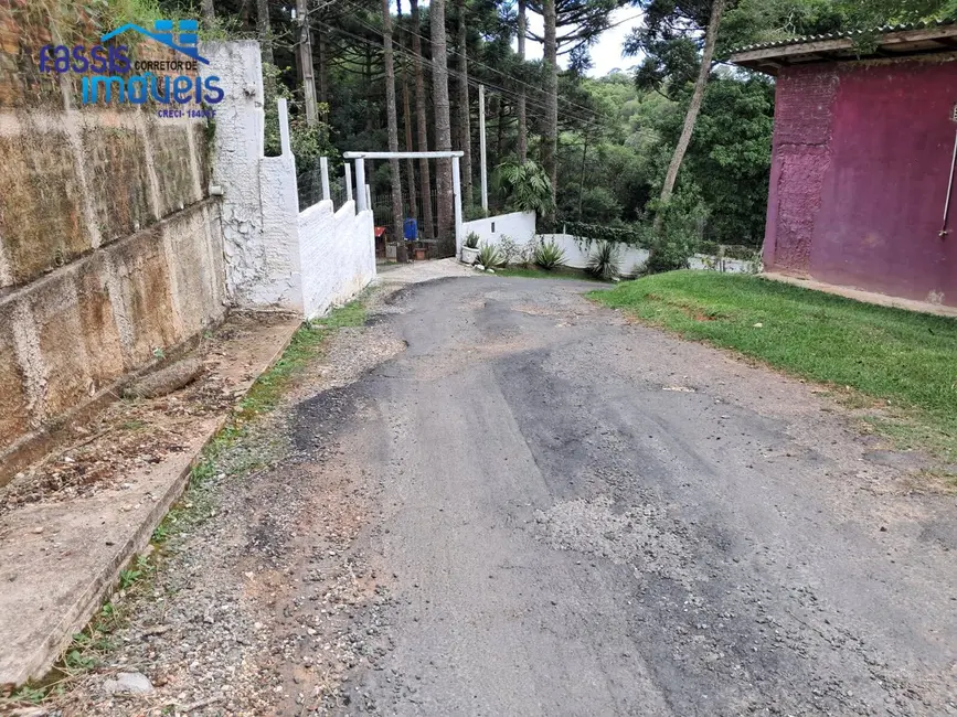 Terreno / Lote à venda, 140m2 em Santa Gema, Colombo - PR - imagem 6 Foto 6 de Terreno / Lote à venda, 140m2 em Santa Gema, Colombo - PR