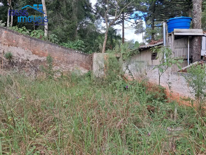 Terreno / Lote à venda, 140m2 em Santa Gema, Colombo - PR - imagem 9 Foto 9 de Terreno / Lote à venda, 140m2 em Santa Gema, Colombo - PR