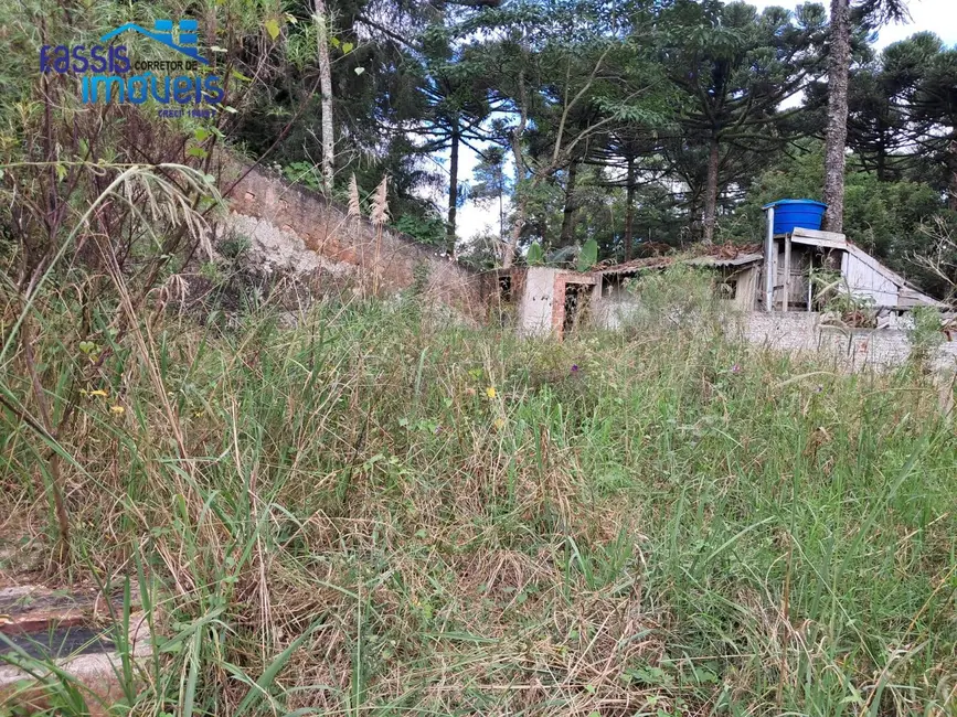 Terreno / Lote à venda, 140m2 em Santa Gema, Colombo - PR - imagem 3 Foto 3 de Terreno / Lote à venda, 140m2 em Santa Gema, Colombo - PR