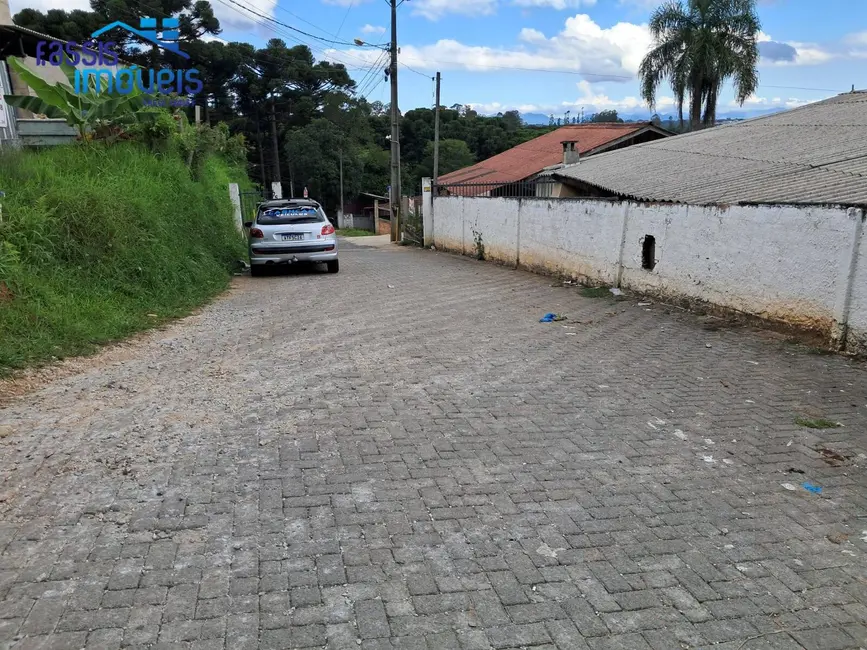 Terreno / Lote à venda, 140m2 em Santa Gema, Colombo - PR - imagem 8 Foto 8 de Terreno / Lote à venda, 140m2 em Santa Gema, Colombo - PR