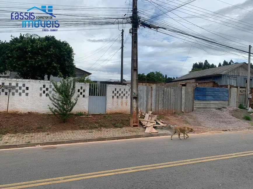 Foto 7 de Terreno / Lote à venda, 480m2 em Paloma, Colombo - PR