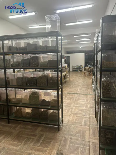 Foto 21 de Loja para alugar em Jardim das Américas, Curitiba - PR