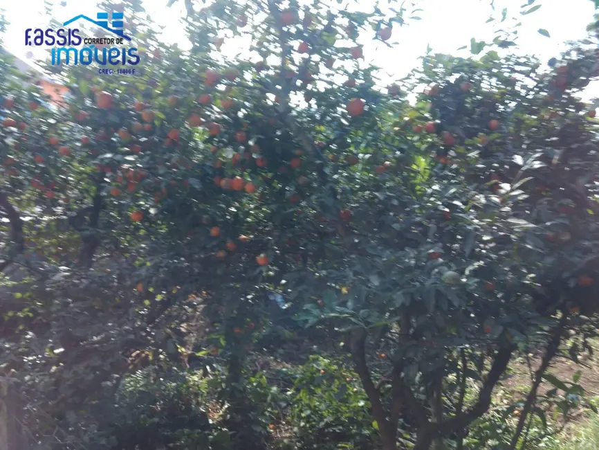 Casa com 4 quartos à venda, 182m2 em Guarani, Colombo - PR - imagem 6 Foto 6 de Casa com 4 quartos à venda, 182m2 em Guarani, Colombo - PR