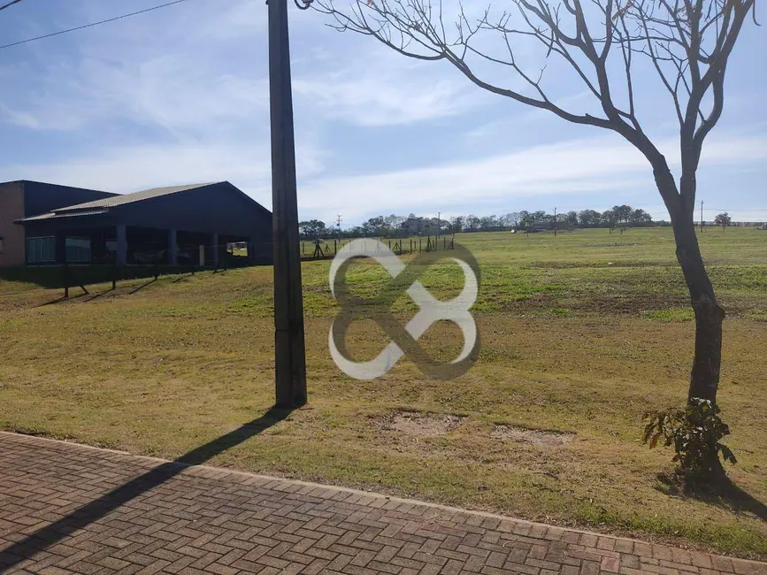Terreno / Lote à venda, 1500m2 em Sertanopolis - PR - imagem 5 Foto 5 de Terreno / Lote à venda, 1500m2 em Sertanopolis - PR