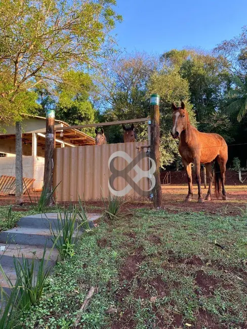 Foto 8 de Chácara com 3 quartos à venda, 6000m2 em Londrina - PR