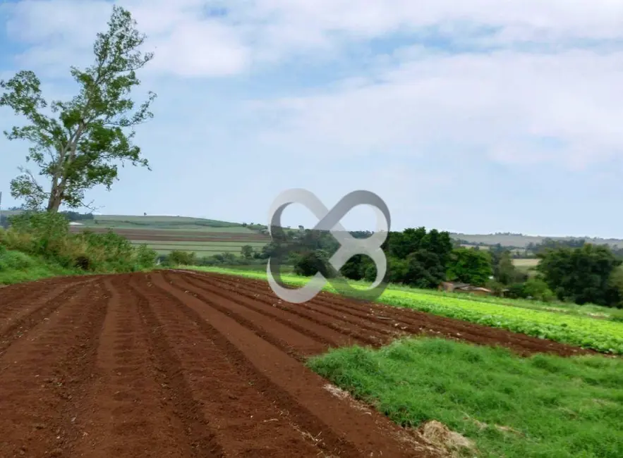 Foto 2 de Chácara à venda, 48400m2 em Heimtal, Londrina - PR