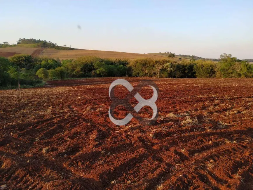 Foto 2 de Chácara à venda, 46000m2 em Londrina - PR