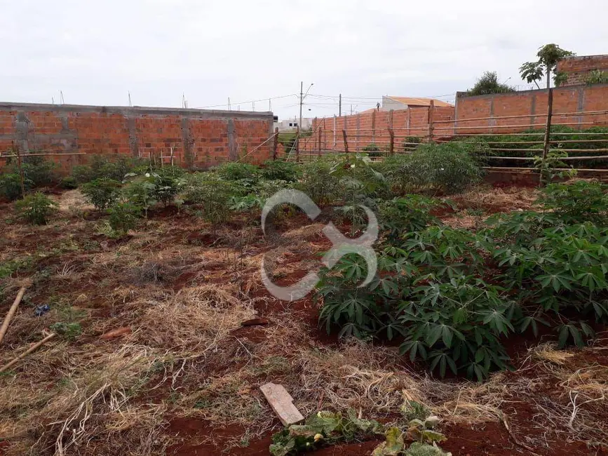 Terreno / Lote à venda, 252m2 em Conjunto Habitacional Maria Cecília Serrano de Oliveira, Londrina - PR - imagem 4 Foto 4 de Terreno / Lote à venda, 252m2 em Conjunto Habitacional Maria Cecília Serrano de Oliveira, Londrina - PR