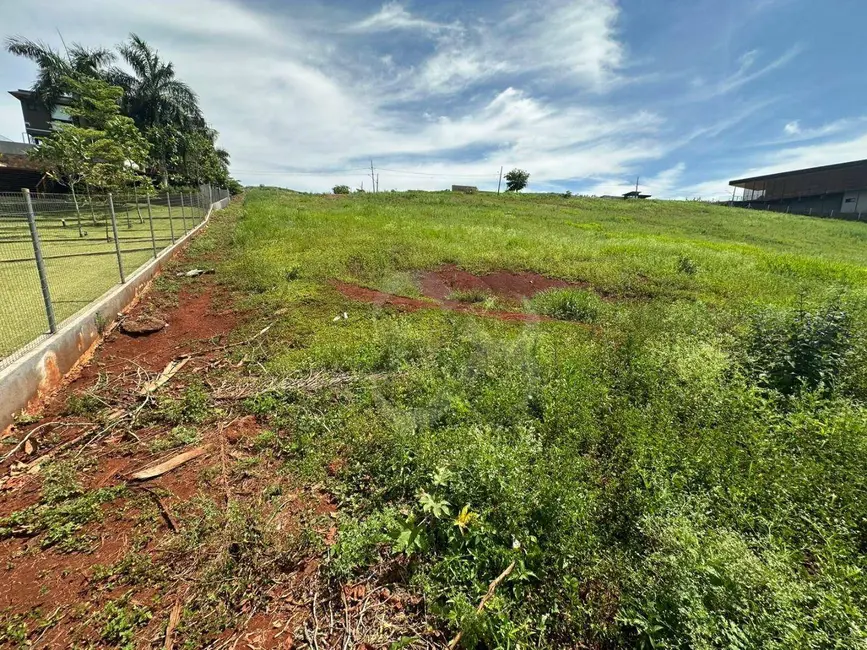 Terreno / Lote à venda, 2240m2 em Sertanopolis - PR - imagem 5 Foto 5 de Terreno / Lote à venda, 2240m2 em Sertanopolis - PR