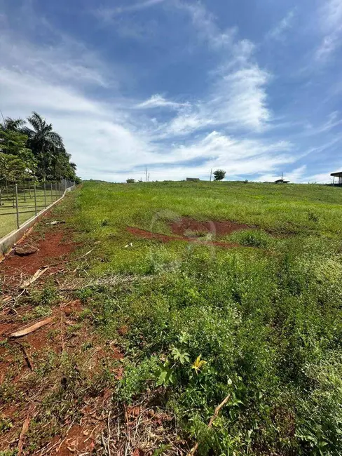 Terreno / Lote à venda, 2240m2 em Sertanopolis - PR - imagem 6 Foto 6 de Terreno / Lote à venda, 2240m2 em Sertanopolis - PR