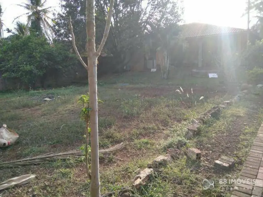 Chácara com 2 quartos à venda, 3600m2 em Gleba Lindóia, Londrina - PR - imagem 5 Foto 5 de Chácara com 2 quartos à venda, 3600m2 em Gleba Lindóia, Londrina - PR