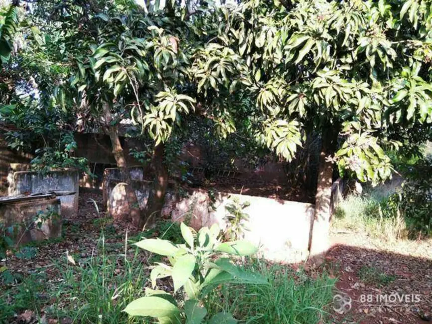 Chácara com 2 quartos à venda, 3600m2 em Gleba Lindóia, Londrina - PR - imagem 7 Foto 7 de Chácara com 2 quartos à venda, 3600m2 em Gleba Lindóia, Londrina - PR