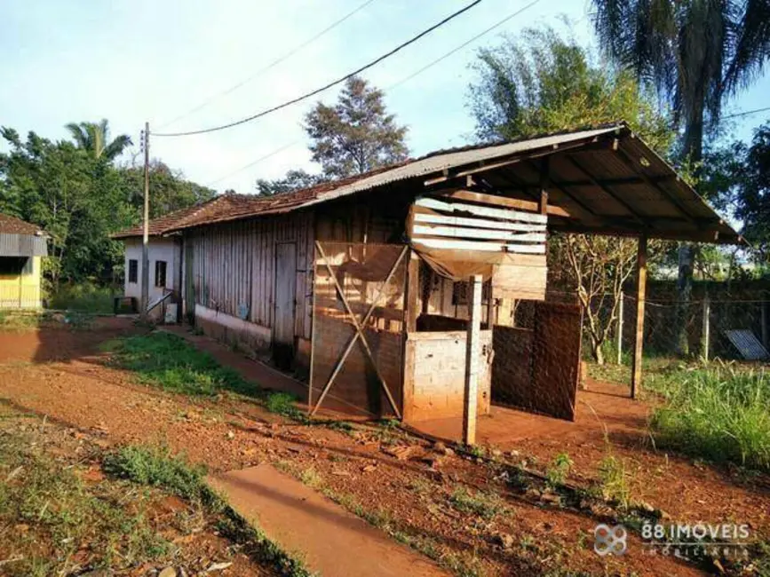 Chácara com 2 quartos à venda, 3600m2 em Gleba Lindóia, Londrina - PR - imagem 9 Foto 9 de Chácara com 2 quartos à venda, 3600m2 em Gleba Lindóia, Londrina - PR