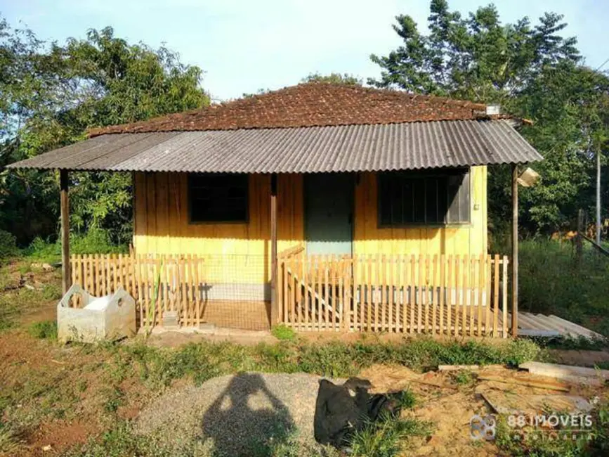 Chácara com 2 quartos à venda, 3600m2 em Gleba Lindóia, Londrina - PR - imagem 8 Foto 8 de Chácara com 2 quartos à venda, 3600m2 em Gleba Lindóia, Londrina - PR