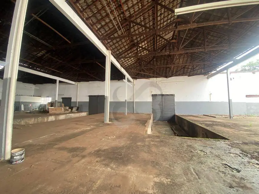 Foto 5 de Armazém / Galpão para alugar, 2000m2 em Vila Ziober, Londrina - PR