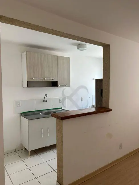 Apartamento com 2 quartos à venda e para alugar, 56m2 em Jardim Nações Unidas, Londrina - PR - imagem 3 Foto 3 de Apartamento com 2 quartos à venda e para alugar, 56m2 em Jardim Nações Unidas, Londrina - PR