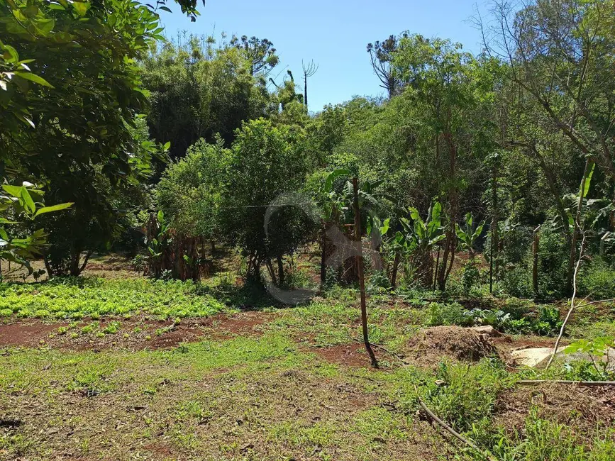 Foto 11 de Chácara à venda, 3088m2 em Esperança, Londrina - PR